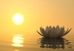 Mindful Practice Group