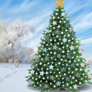 Untitled design (17)